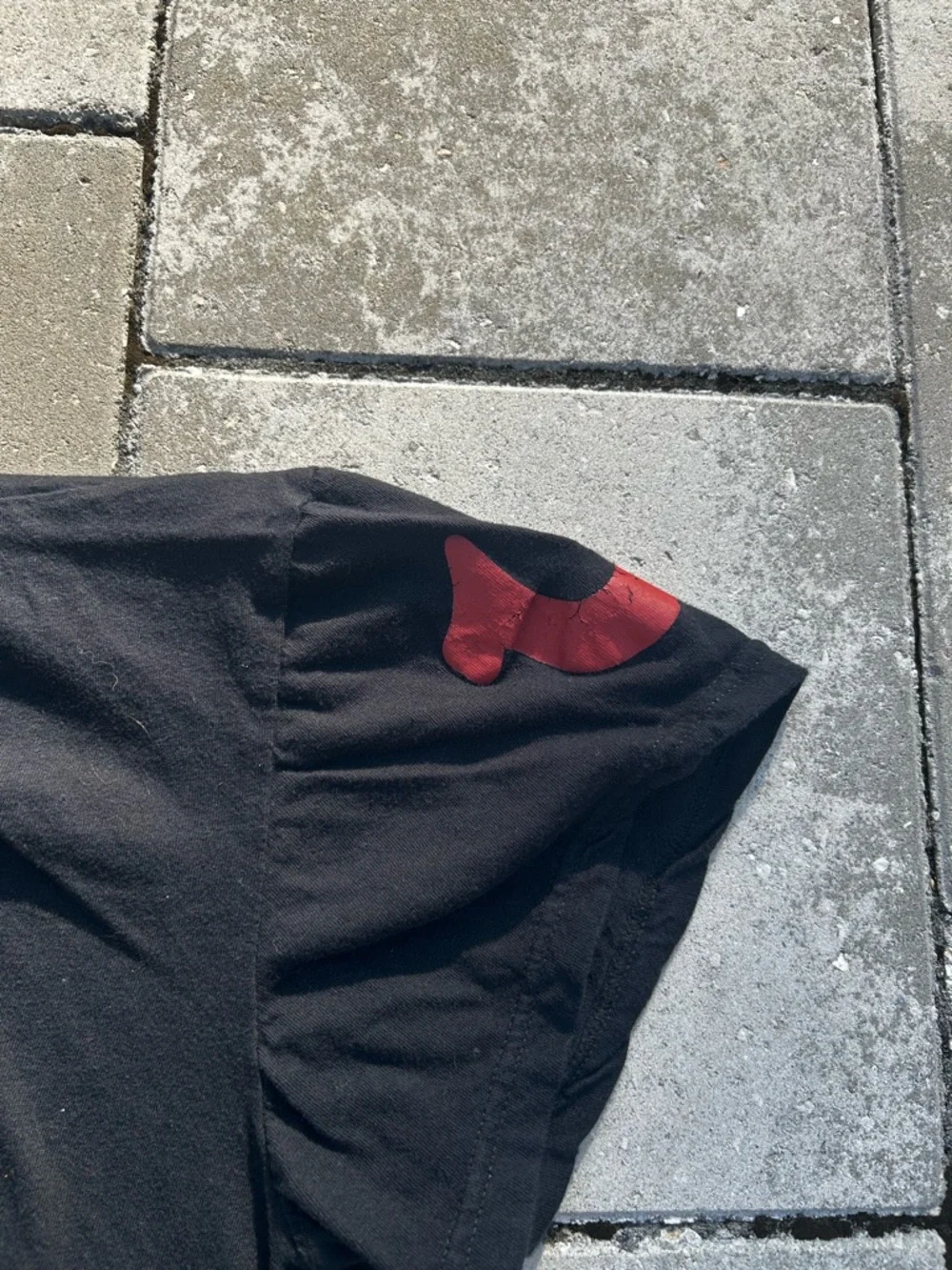 True Religion Black Short-Sleeve Crewneck Tee with Red Accent - Picture 3 of 4